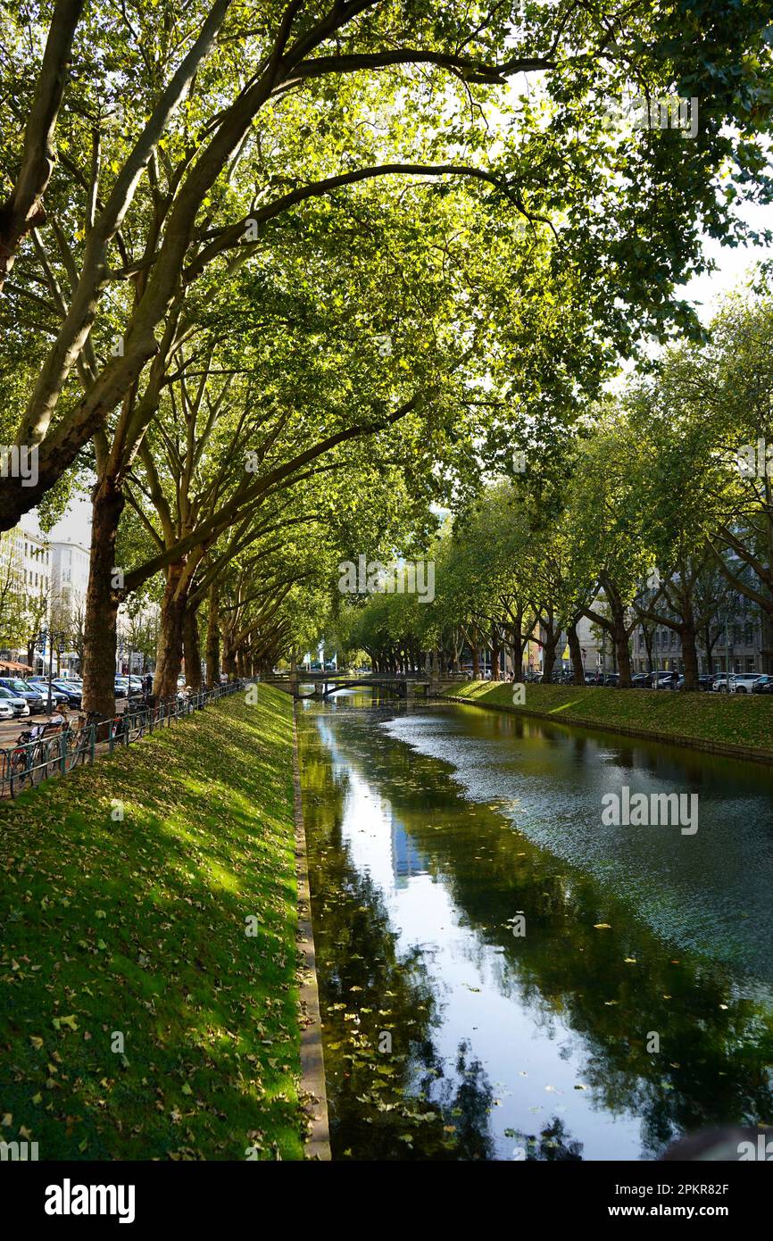 Le beau canal vert de la ville 'Kö-Graben' sur Königsallee à Düsseldorf/Allemagne, un morceau de nature verte au milieu de la ville. Banque D'Images
