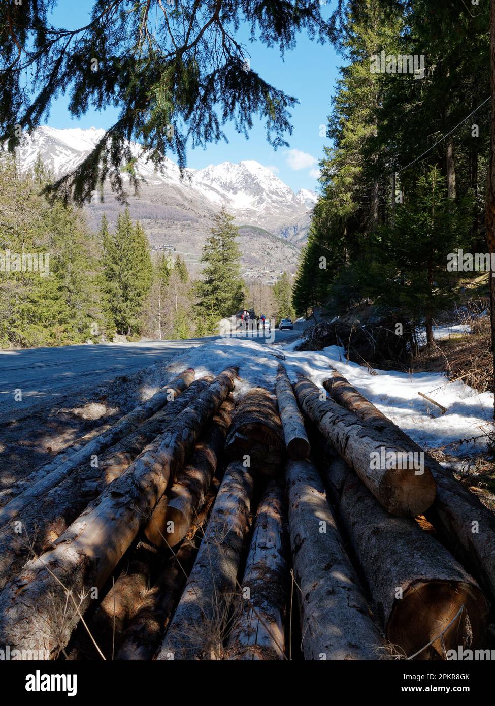 Pile de rondins entre Valnontey et Cogne dans le parc Gran Paradiso avec des montagnes enneigées en avant. Vallée d'Aoste, Italie Banque D'Images