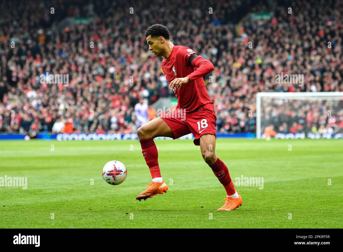 Anfield, Liverpool, Merseyside, Royaume-Uni. 9th avril 2023. Premier League football, Liverpool versus Arsenal ; Cody Gakpo de Liverpool Credit: Action plus Sports/Alay Live News Banque D'Images