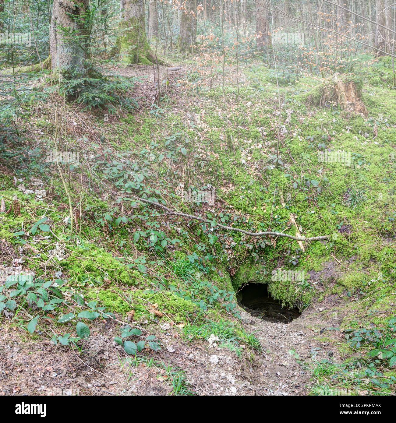 Le Waltershöhle près de VS-Schwenningen inspire l'imagination des gens à ce jour. Banque D'Images