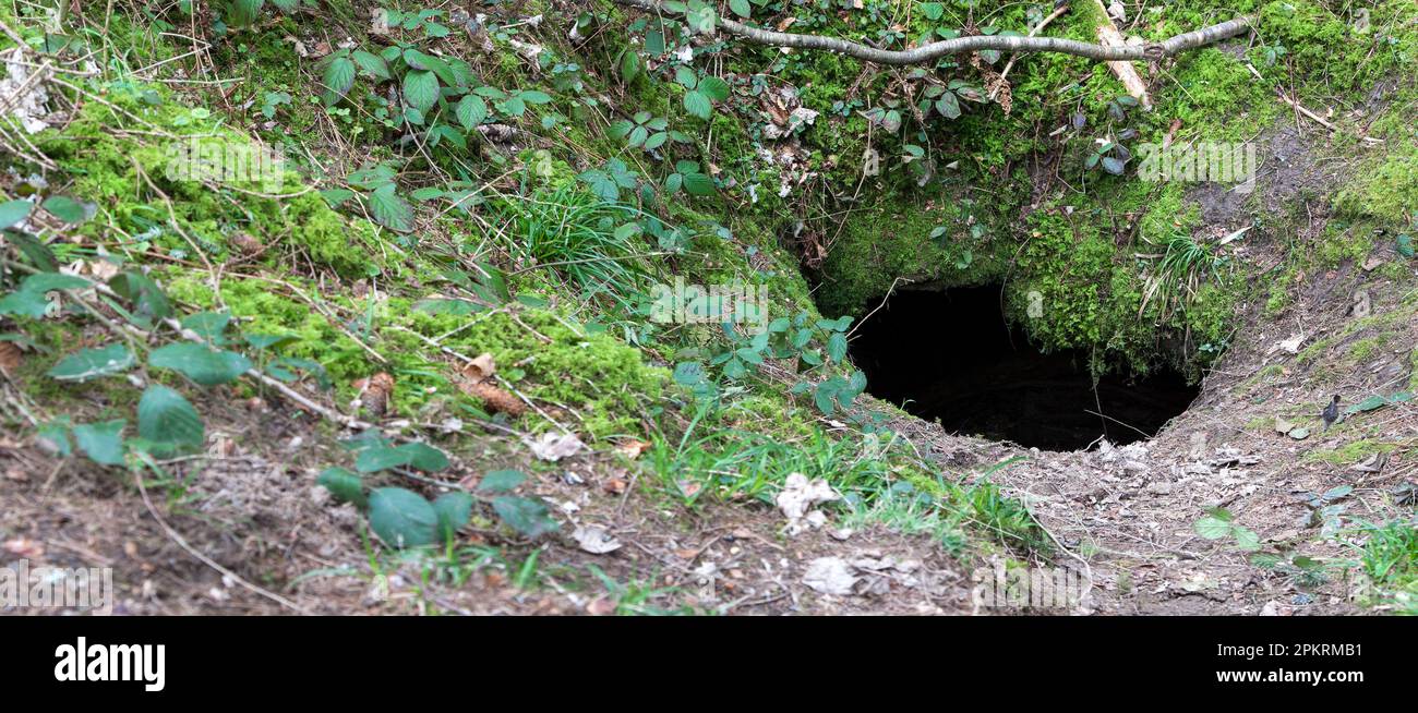 Le Waltershöhle près de VS-Schwenningen inspire l'imagination des gens à ce jour. Banque D'Images