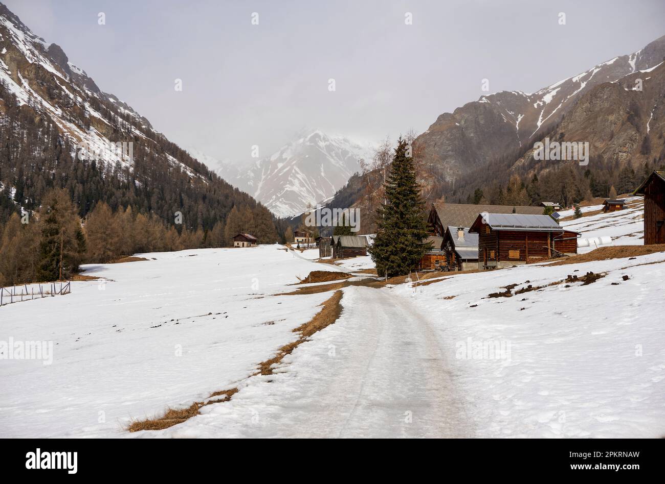 Cabanes d'agriculteurs le long de Prà San Pieder (environ 1 831 m) au pied de Stammerspitz (Piz Tschütta - 3 147 m), près de Zuort, Engadin, Suisse Banque D'Images