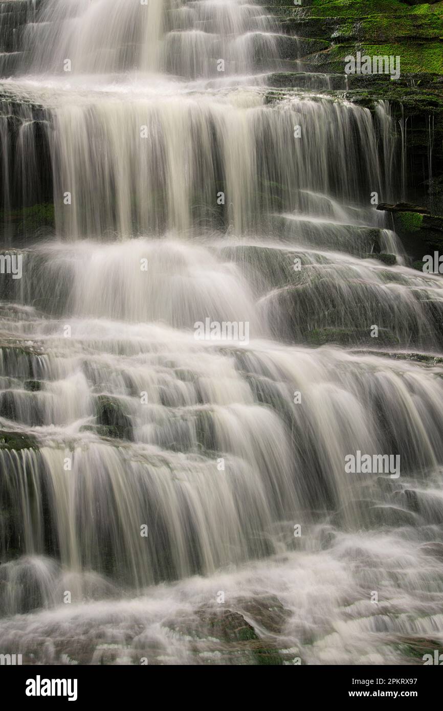 Courant de printemps à Shays Run au parc national de Blackwater Falls, à l'extérieur de Davis, en Virginie-Occidentale Banque D'Images