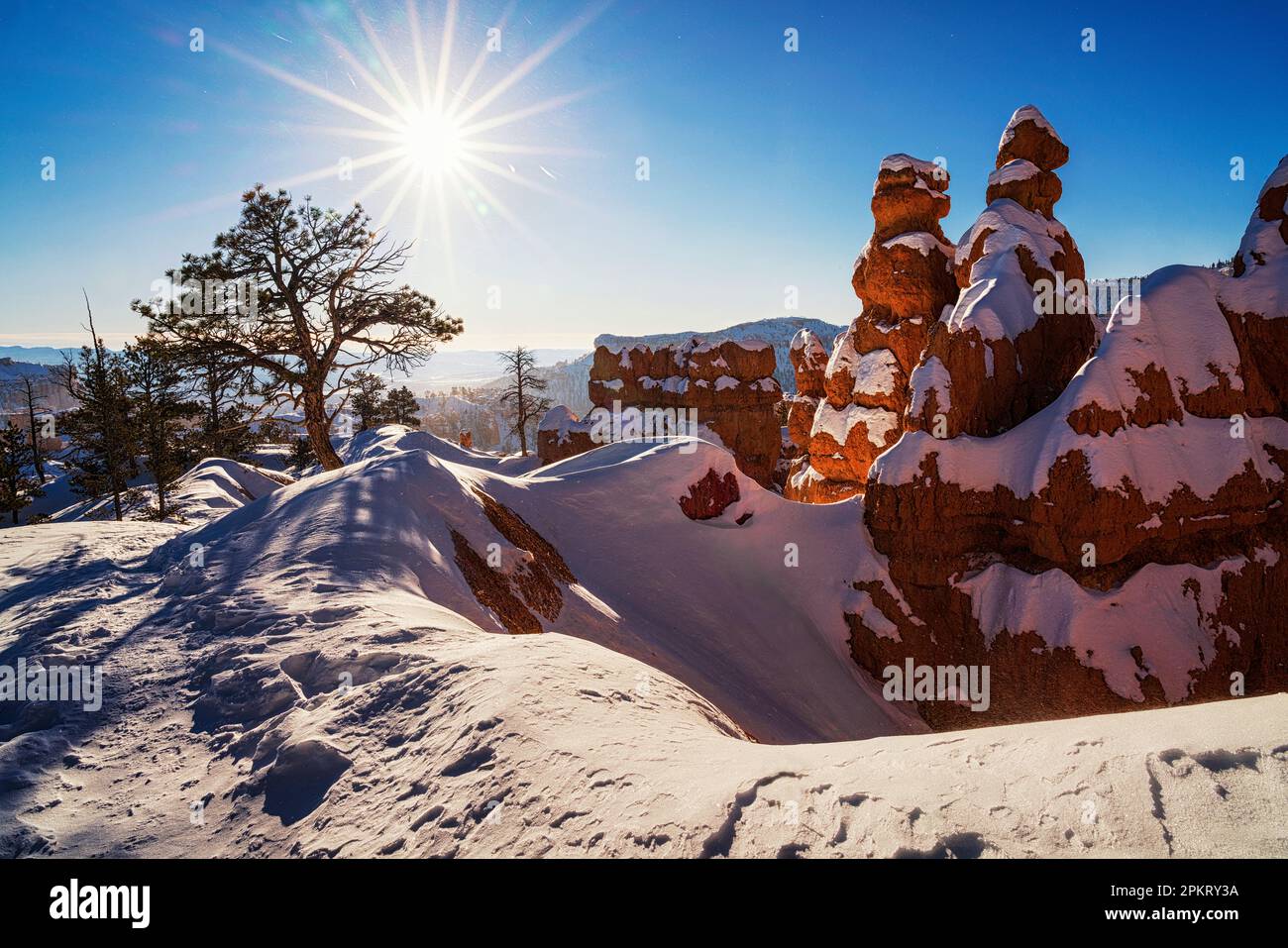 Lever de soleil en hiver au-dessus du parc national de Bryce Canyon dans l'Utah depuis Sunrise point et la Queens Garden Trail Banque D'Images