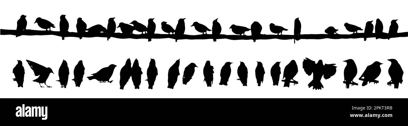 Oiseaux sur un fil. Silhouettes d'étoiles assises. Ensemble d'oiseaux . Illustration vectorielle Illustration de Vecteur