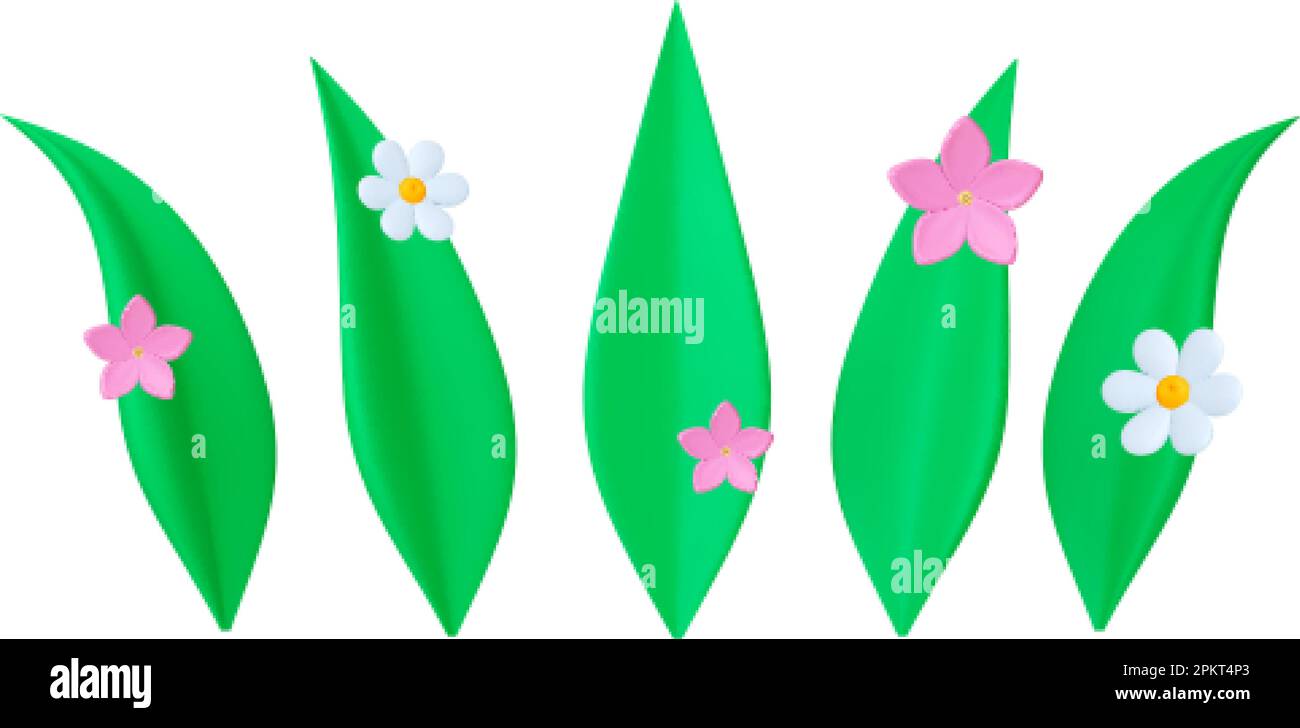 Herbe verte, 3D feuilles et fleurs. Fleur de pâquerette et camomille blanche. Éléments floraux roses. Composition vectorielle de jardin à fleurs isolées Illustration de Vecteur