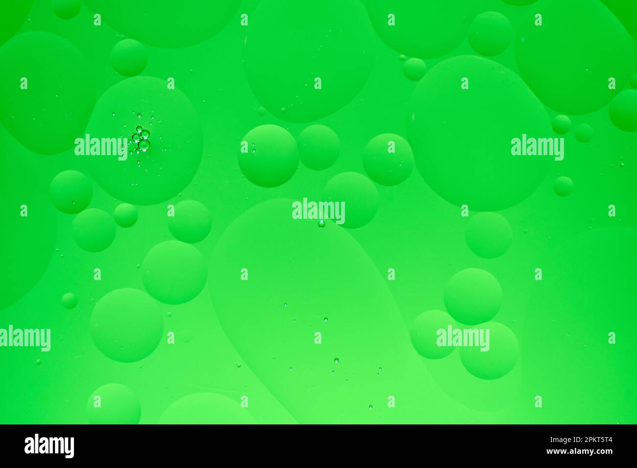 Arrière-plan abstrait avec cercles d'huile verts et dégradé. Banque D'Images