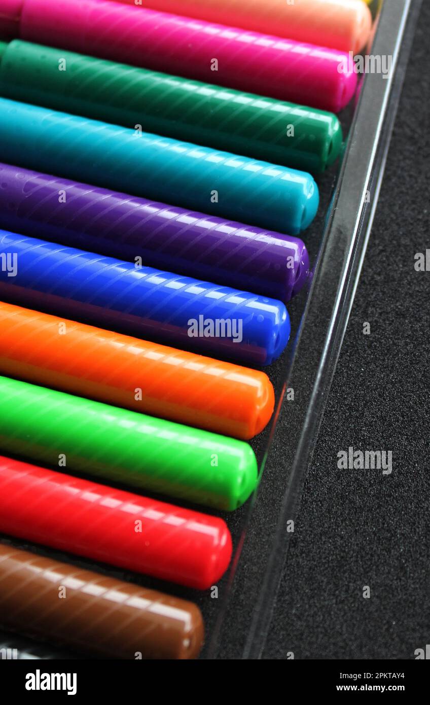 Couvertures de stylos feutres disposées en ligne dans un boîtier en plastique photo de stock pour une histoire verticale Banque D'Images