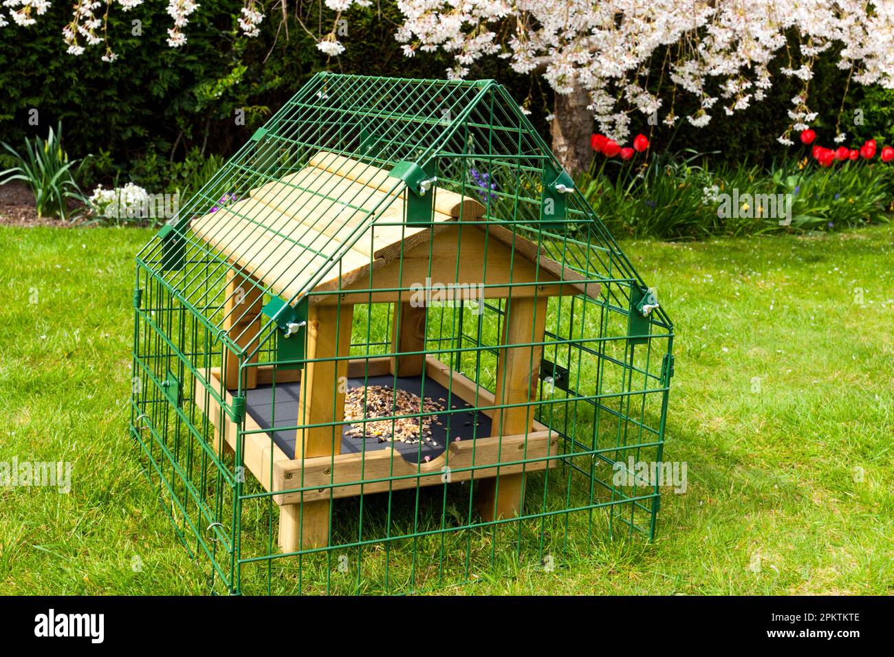 Un petit sanctuaire d'oiseaux protégeant une table d'oiseaux au sol dans un jardin du Royaume-Uni Banque D'Images