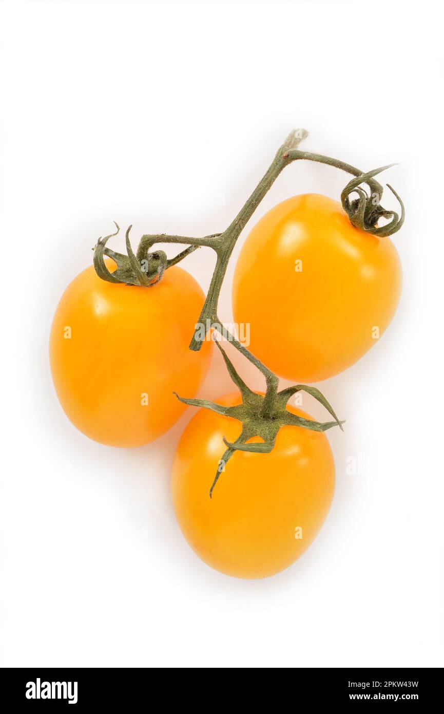 Les tomates Romanella Duet Baby sont de petites tomates multi-couleurs en forme d'oeuf dans une composition de couche plate sur fond blanc. Format vertical avec espace pour t Banque D'Images