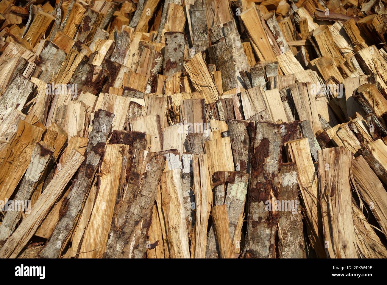 Pile de souche en bois en arrière-plan ou de texture Banque D'Images