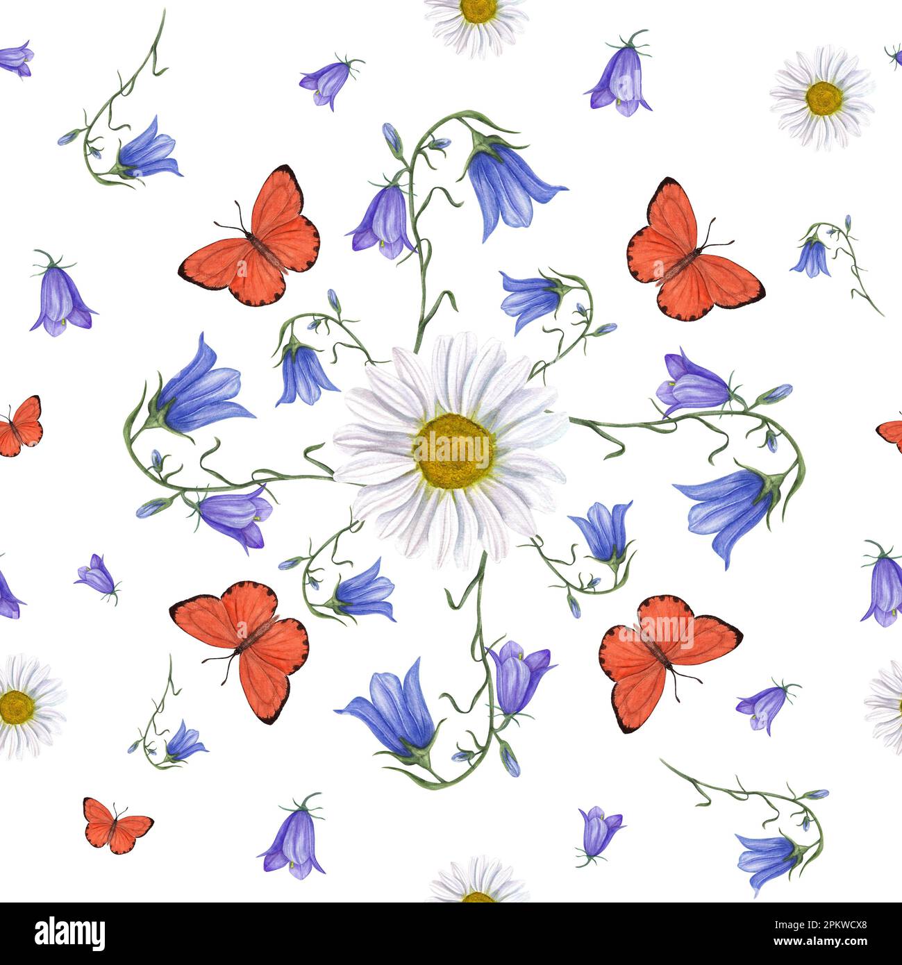 Motif aquarelle sans couture de Marguerite, de feuillure et de papillons lumineux isolés sur fond blanc. Pour la conception de cartes de vœux, modèle d'invitation Banque D'Images