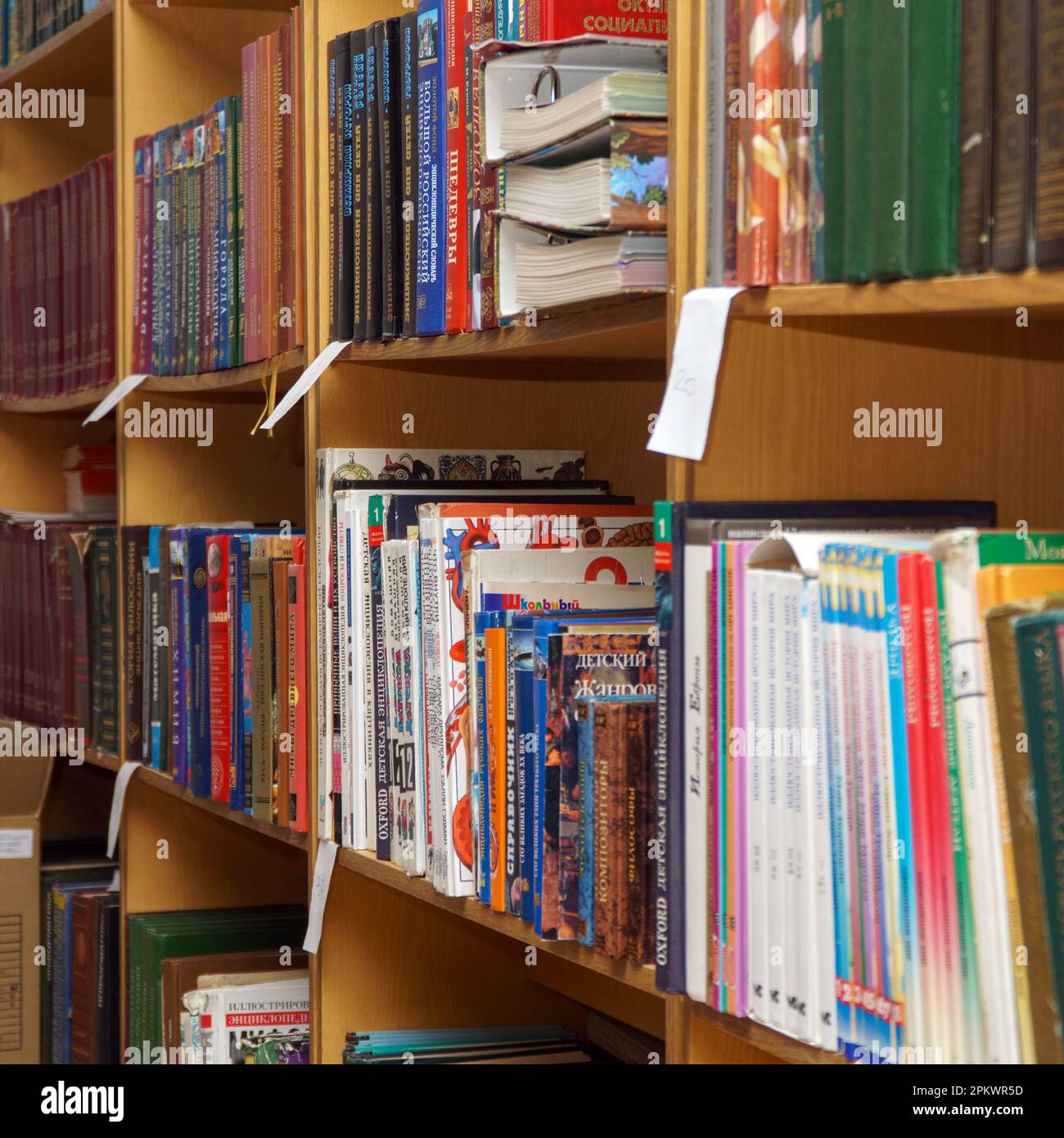 Chapaevsk, région de Samara, Russie - 24 décembre 2020 : livres sur une étagère de la bibliothèque.Mise au point sélective Banque D'Images