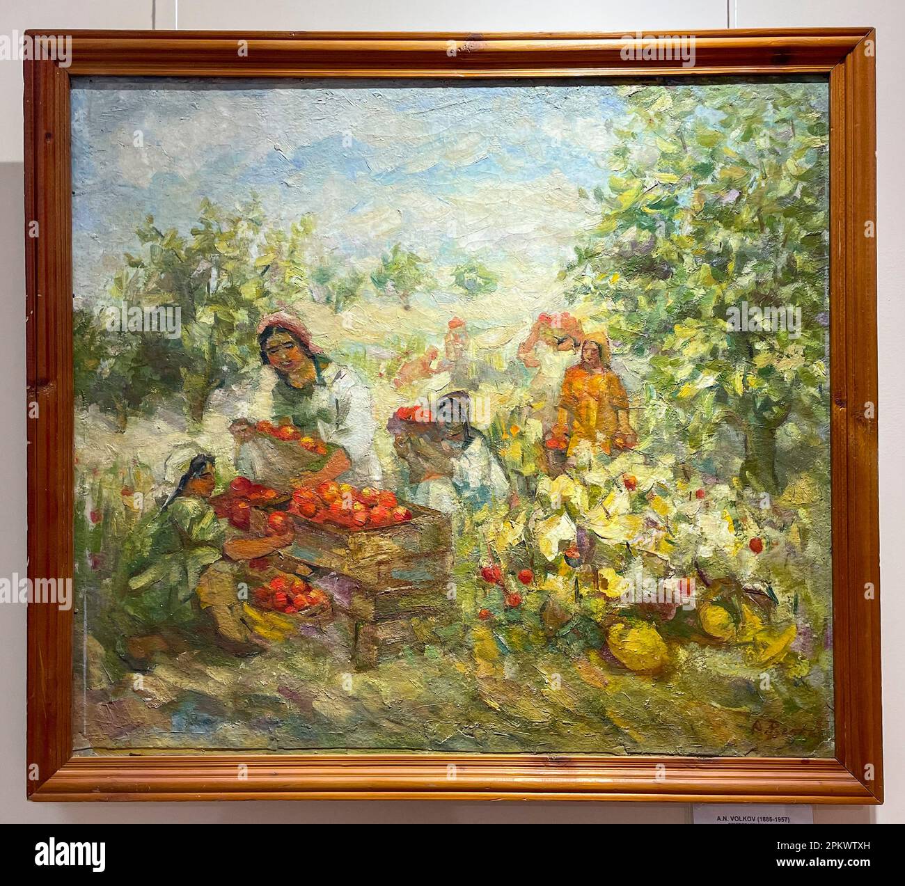 Un tableau de AN Volkov, intitulé, cueillir des tomates, 1947. Au Musée national des arts de la République du Karakalpakstan à Nukus, en Ouzbékistan. Banque D'Images