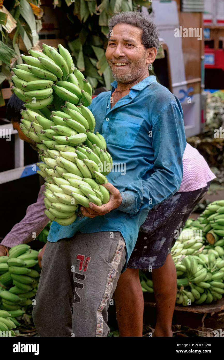 Un employé de marché joyeux au marché de Matunga à Matunga est, Mumbai, Inde, transportant un grand nombre de bananes encore peu mûres, livrées de Tamil Nadu Banque D'Images