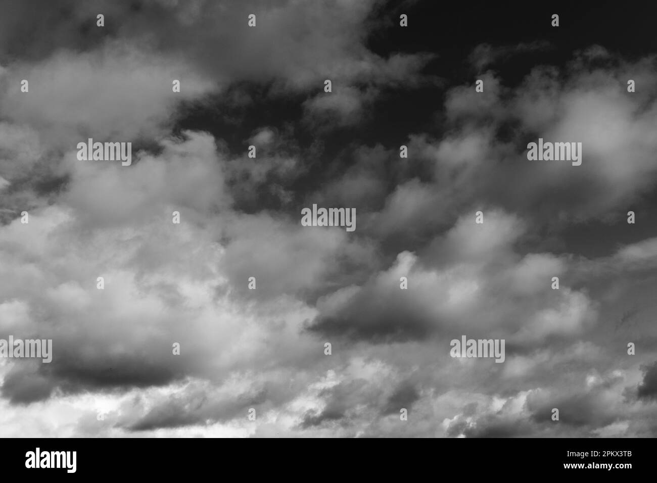 Vapeur blanche, fumée sur fond noir pour ajouter à vos photos. Fumée parfaite, vapeur, parfum, encens. Créer des photos mystiques. Bruit de fond de fumée Banque D'Images