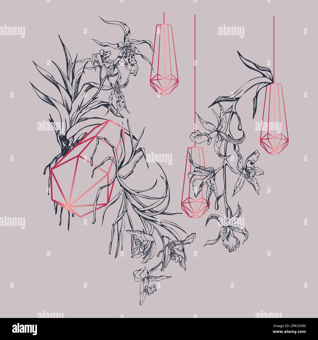 Fleurs et branches d'orchidées à encre vectorielle dessinées à la main, monochrome, contour détaillé. Composition en cristal. Couleur magenta Viva. Design pour mur Illustration de Vecteur