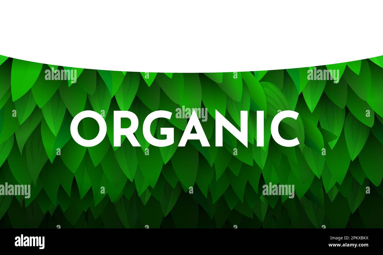 Arrière-plan avec feuilles. Concept d'écologie. Illustration vectorielle Illustration de Vecteur