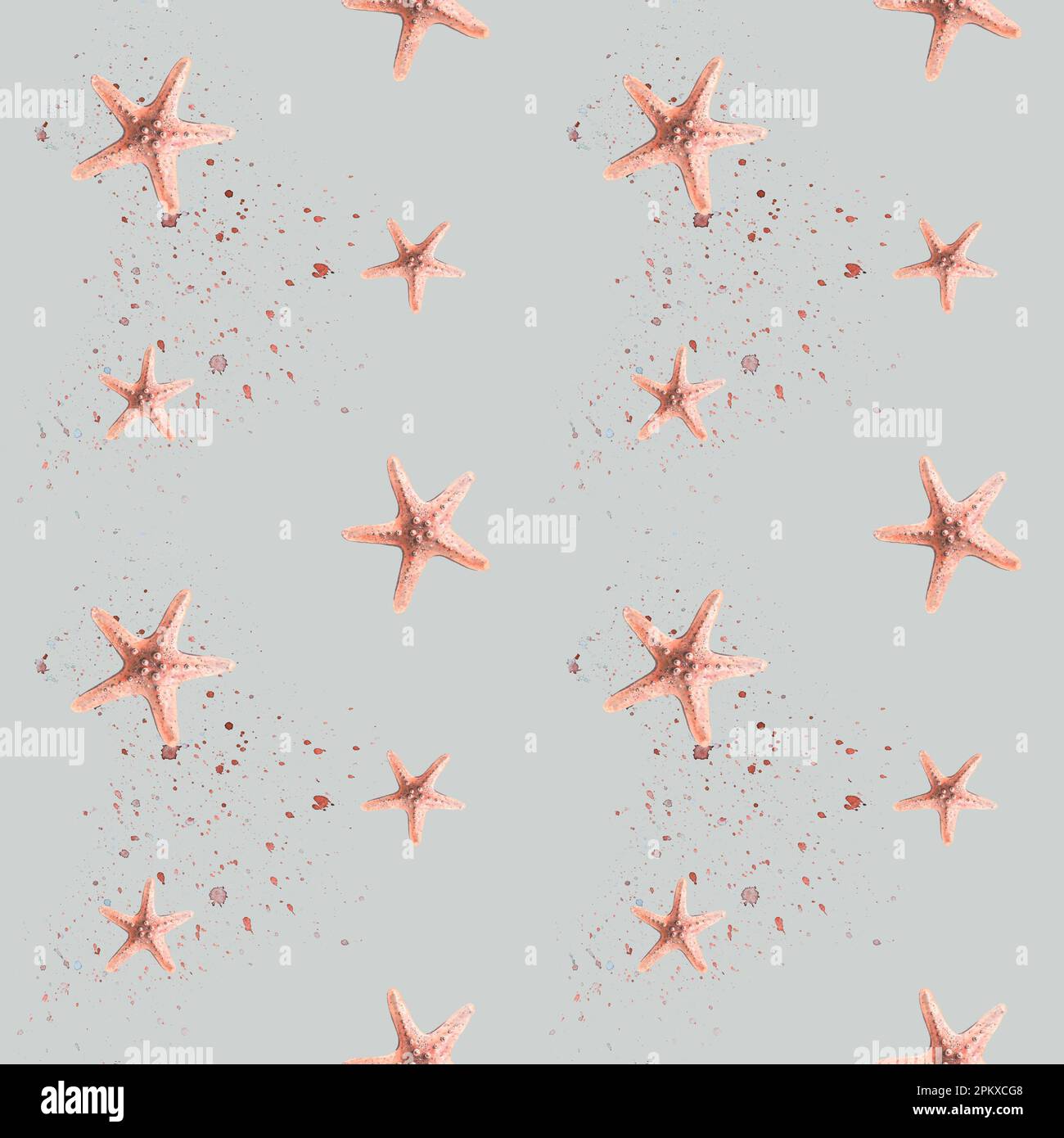Étoiles de mer de couleur corail aux éclaboussures et aux touches de peinture sur fond gris. Illustration aquarelle. Motif sans couture de MEDUSA ET SEA HORSE Banque D'Images