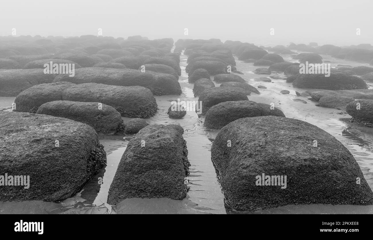 Rochers sur la plage de Hunstanton royaume-uni un matin brumeux à marée basse noir et blanc Banque D'Images