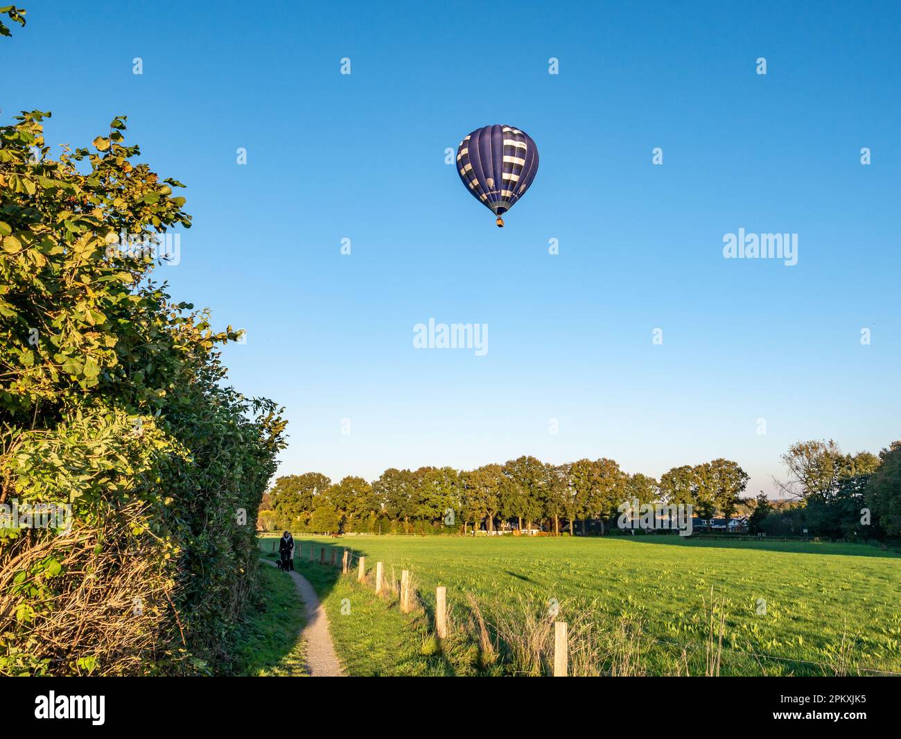 Montgolfière survolant les prairies de campagne près d'Ootmarsum en automne, Overijssel, pays-Bas Banque D'Images