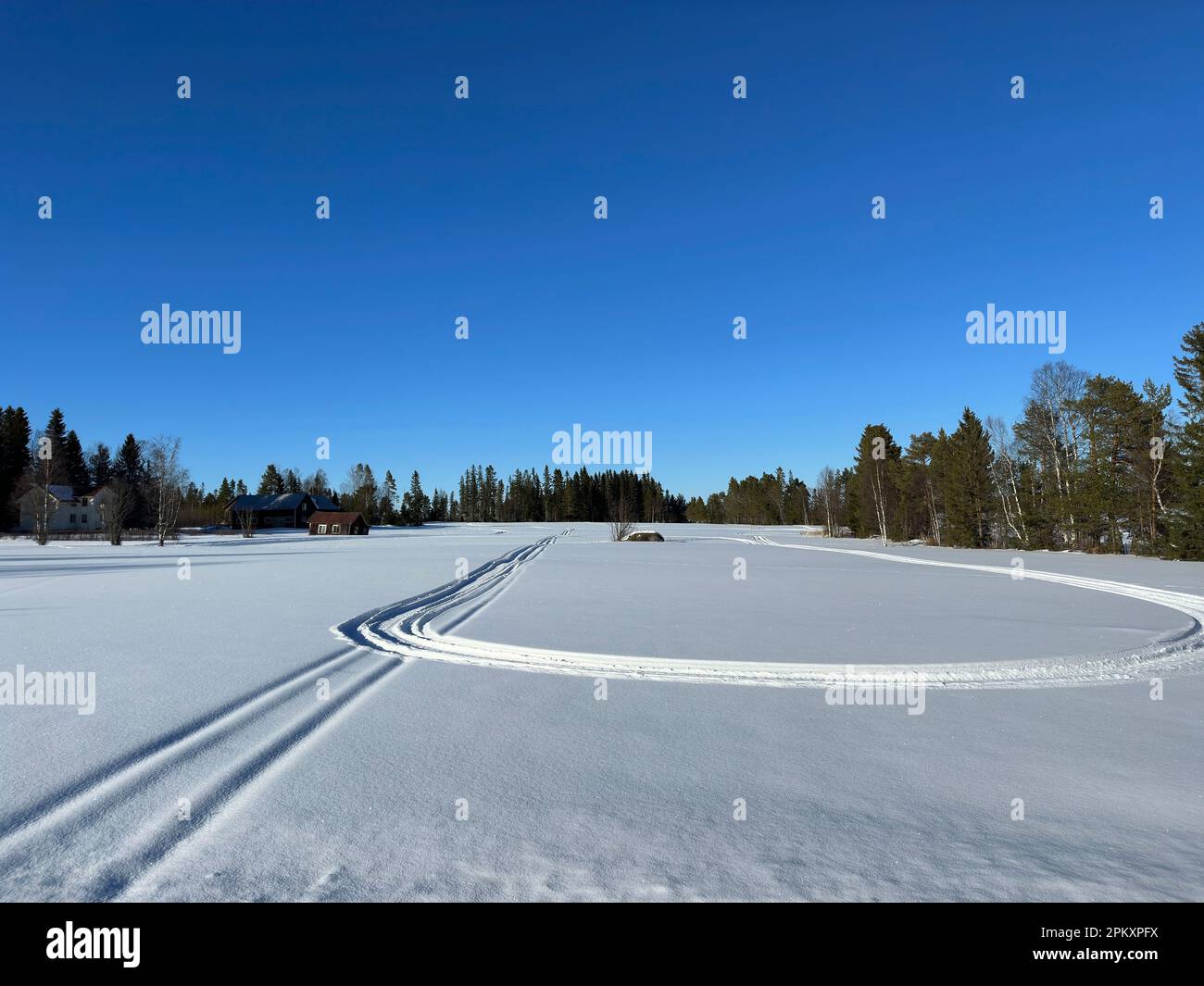 Paysage d'hiver du nord de la Suède Banque D'Images