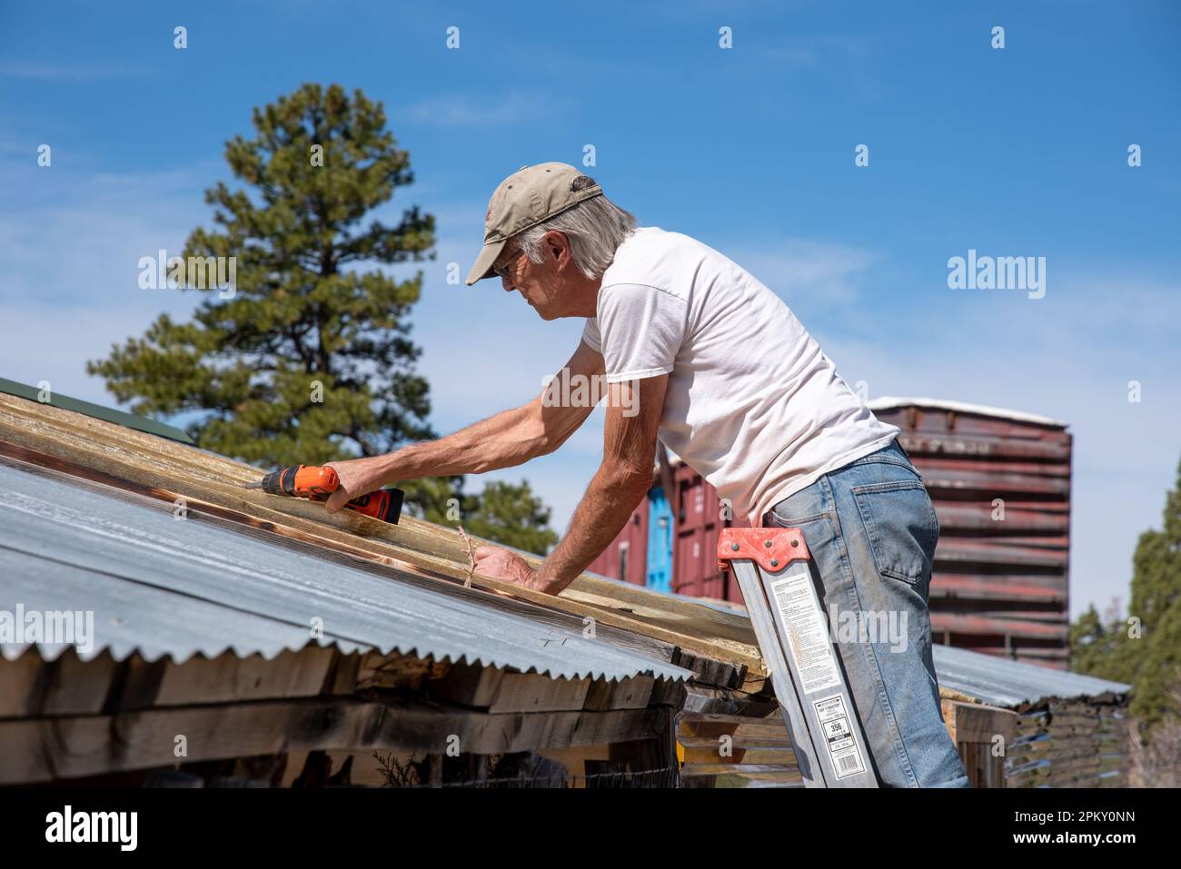 Un homme en bonne santé et en forme dans ses années 70 se tient sur une échelle d'extension en aluminium tandis qu'il remplace les panneaux ondulés sur le toit d'un hangar rustique, États-Unis. Banque D'Images