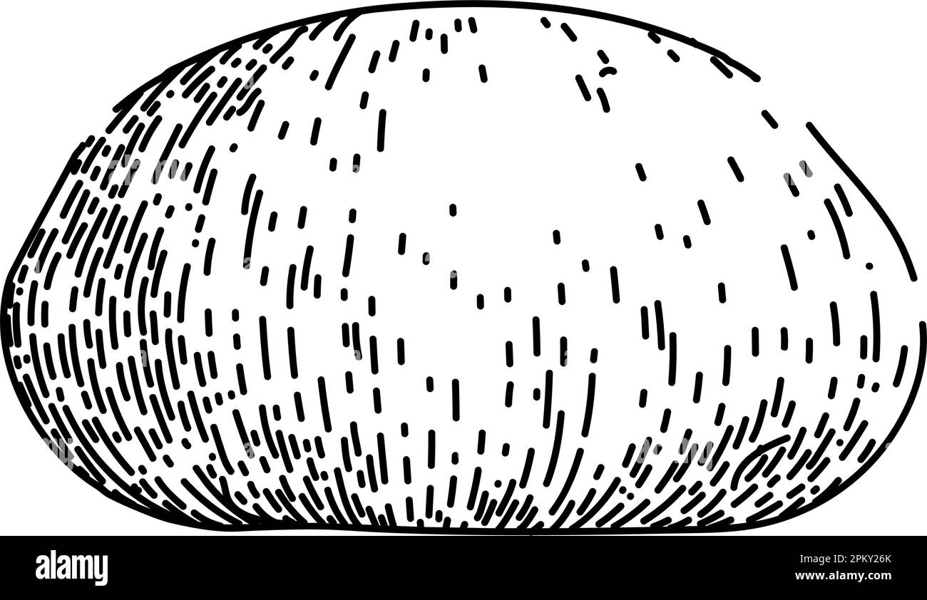 pâte pâtisserie dessin vectoriel dessiné à la main Illustration de Vecteur