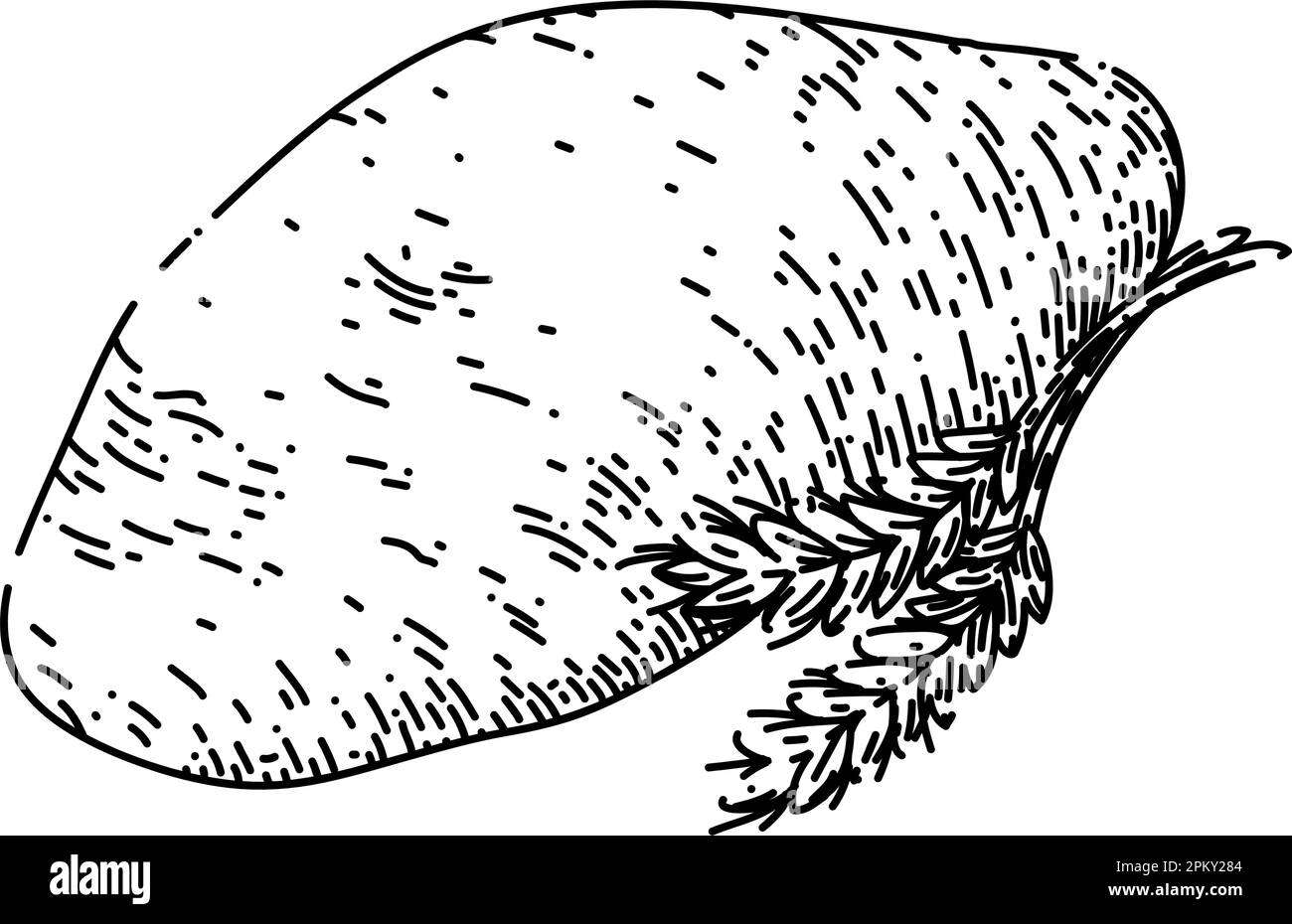 cuisine à pâte dessin vectoriel dessiné à la main Illustration de Vecteur