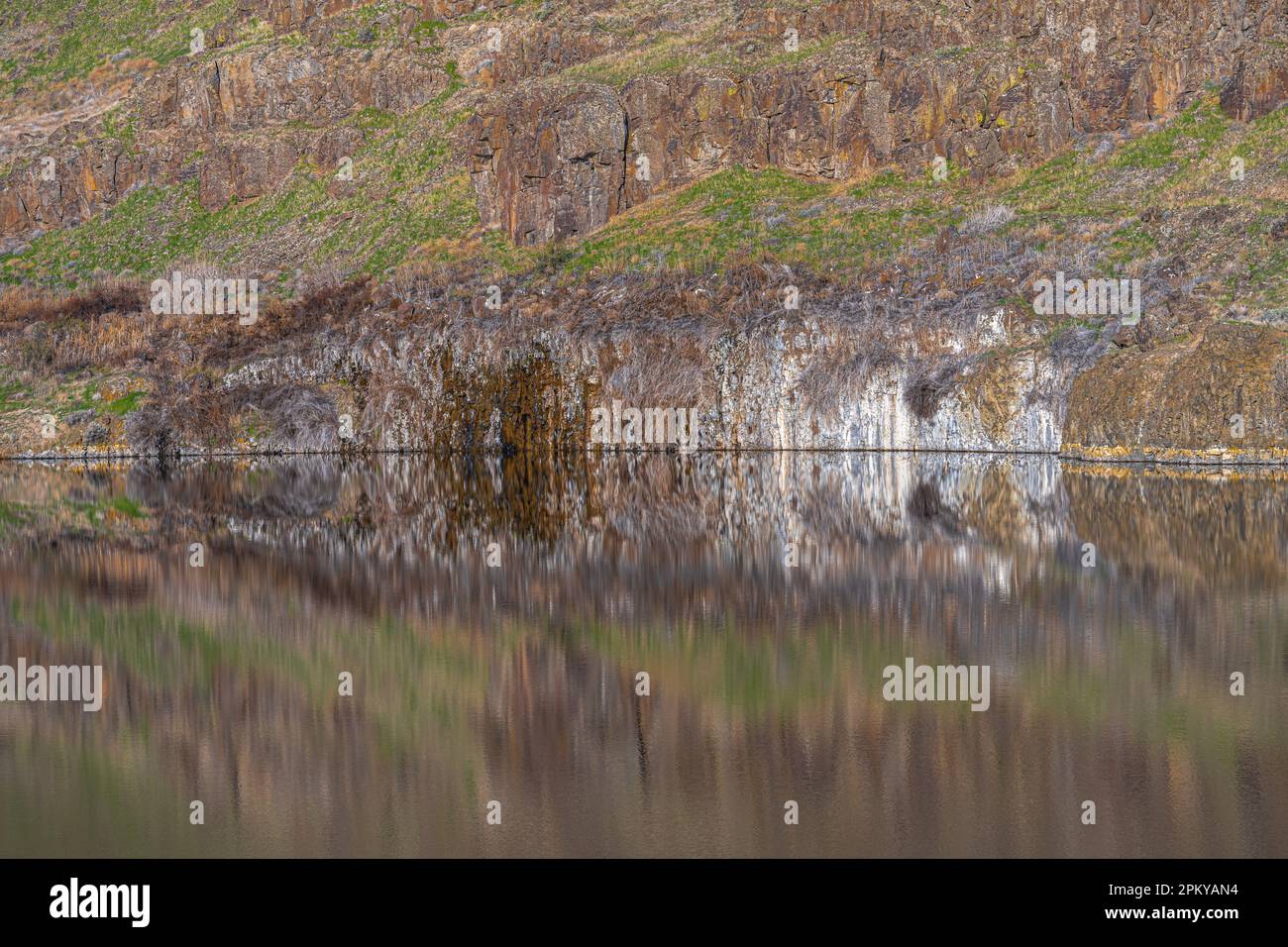 Réflexions dans Upper Goose Lake, WA Banque D'Images