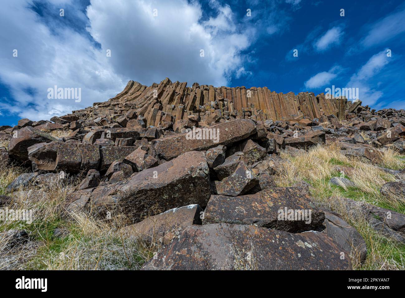 Formations de colonnes de basalte dans la réserve naturelle nationale de Columbia, WA Banque D'Images