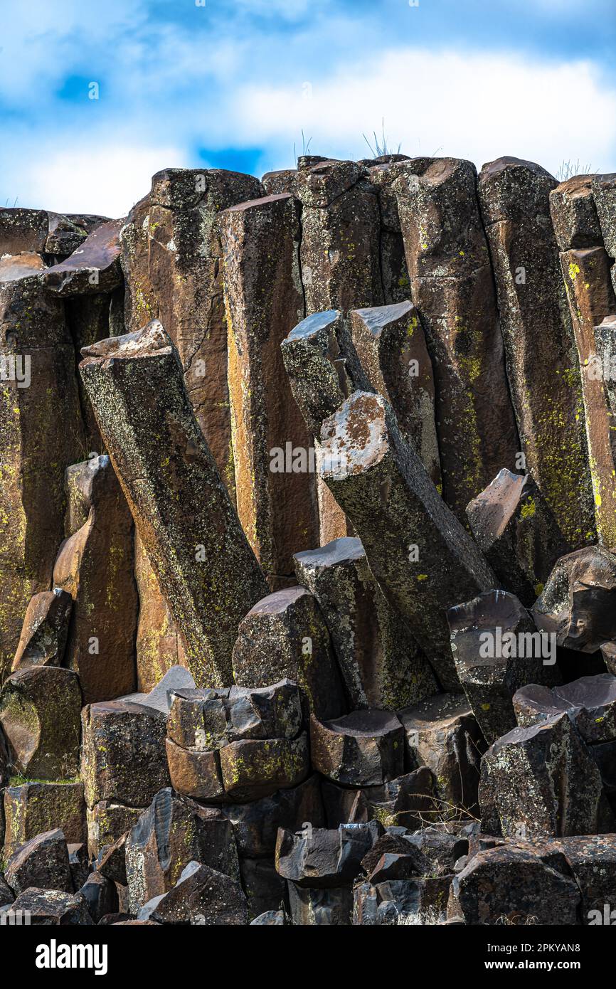 Formations de colonnes de basalte dans la réserve naturelle nationale de Columbia, WA Banque D'Images