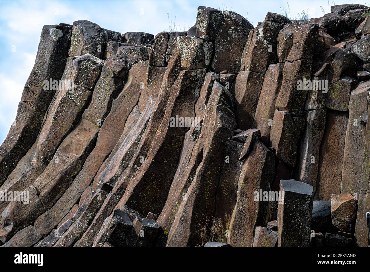 Formations de colonnes de basalte dans la réserve naturelle nationale de Columbia, WA Banque D'Images
