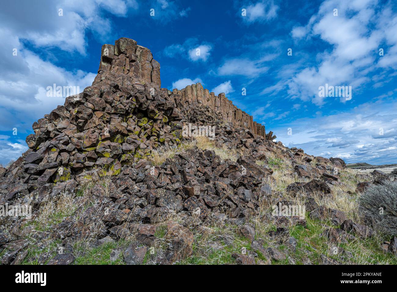 Formations de colonnes de basalte dans la réserve naturelle nationale de Columbia, WA Banque D'Images