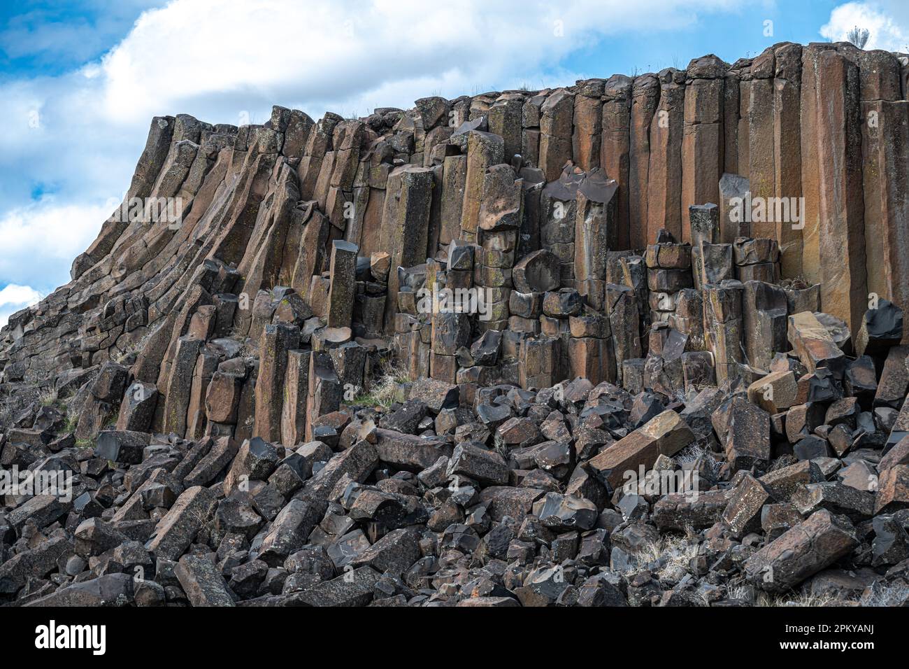Formations de colonnes de basalte dans la réserve naturelle nationale de Columbia, WA Banque D'Images