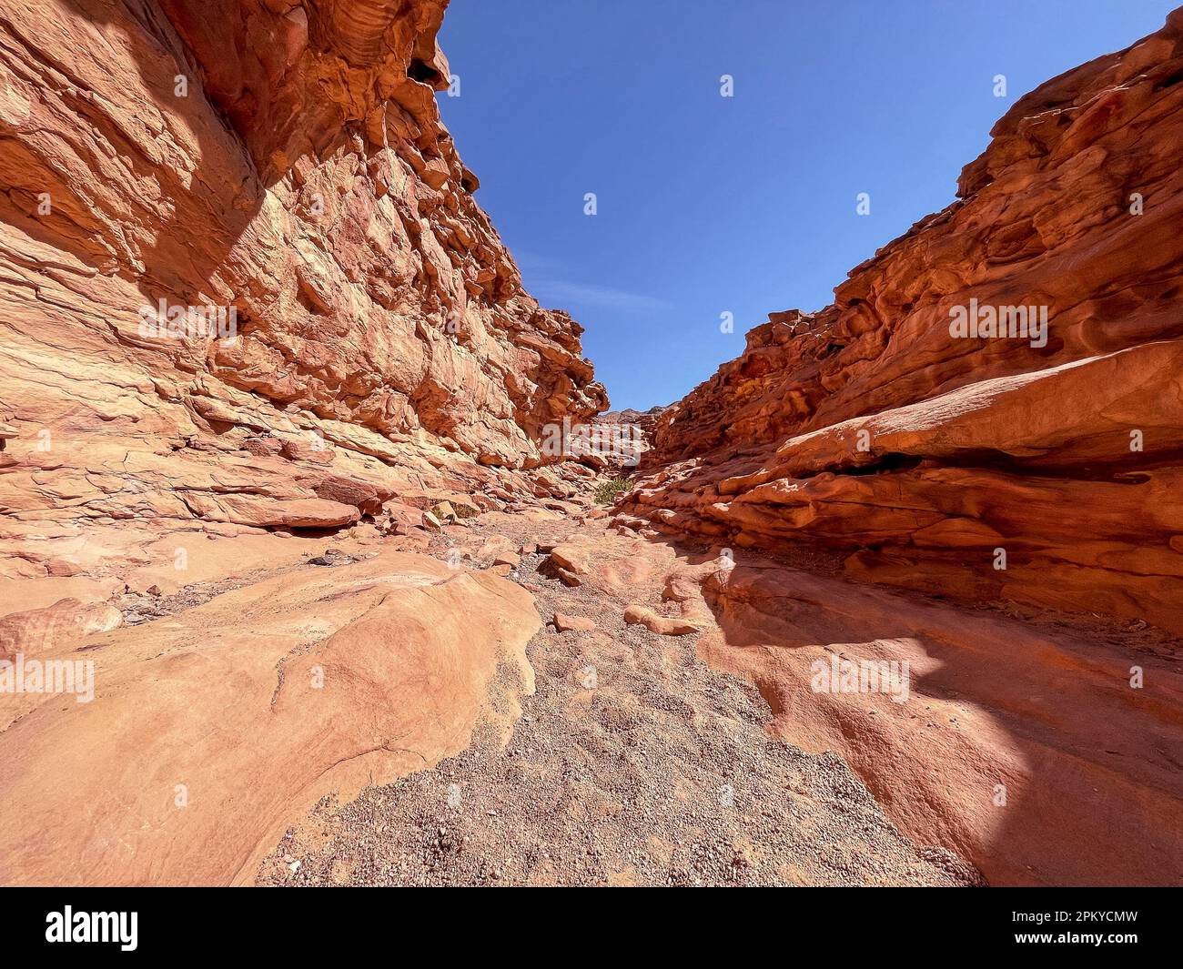 Vue sur le Red Salam Canyon dans le désert du Sinaï, Égypte. Banque D'Images