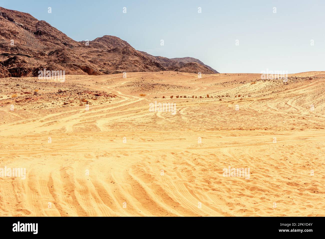 Magnifique paysage de désert avec sable orange de la péninsule du Sinaï, Egypte. Banque D'Images