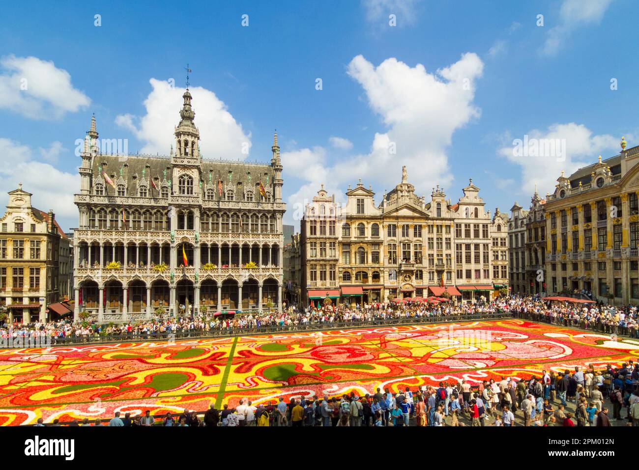 Bruxelles Grand-place Bruxelles montrant le thème art déco du tapis de fleurs Bruxelles Belgique UE Europe Banque D'Images