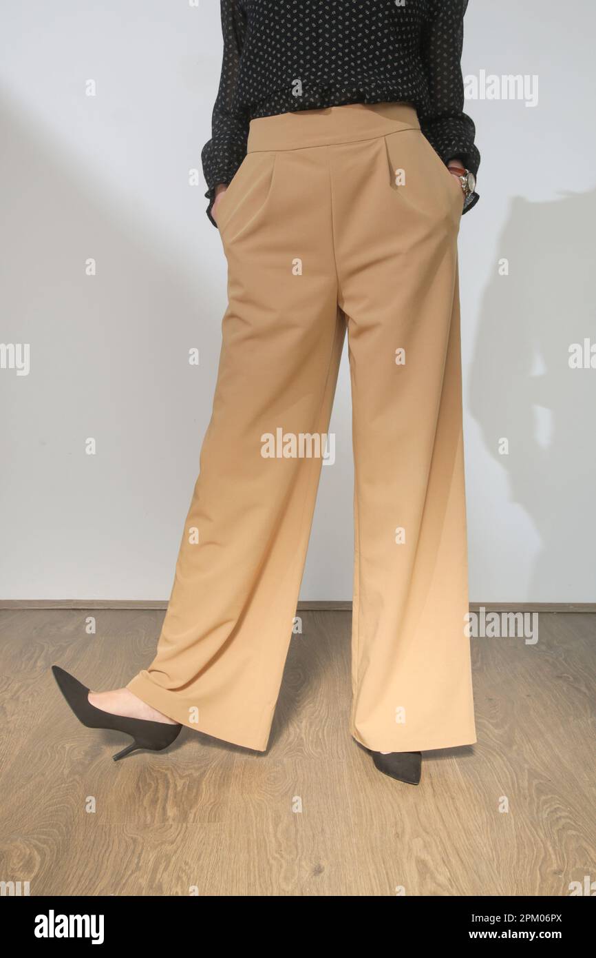 Modèle femme avec pantalon large beige élégant décontracté taille haute. Prise de vue en studio. Banque D'Images