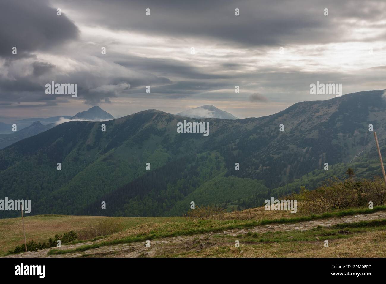 En arrière-plan Maly Rozsutec, Velky Rozsutec, Stoh, en premier plan Steny au sommet nord et sud, vue de Snilovske sedlo, parc national Mala Fatra Banque D'Images