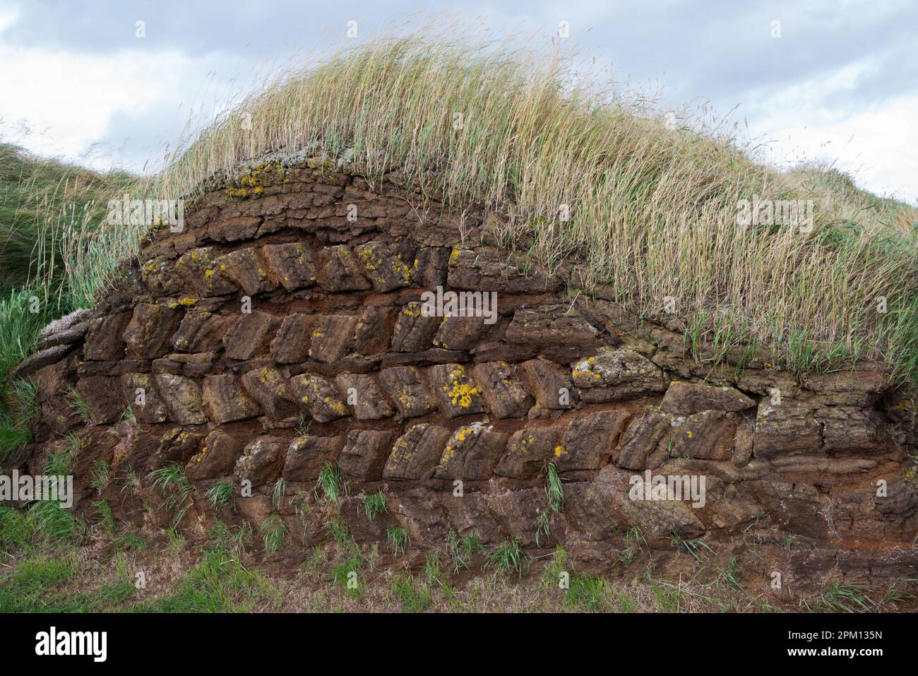 Motif naturel. Partie arrière d'une maison en gazon, Islande Banque D'Images