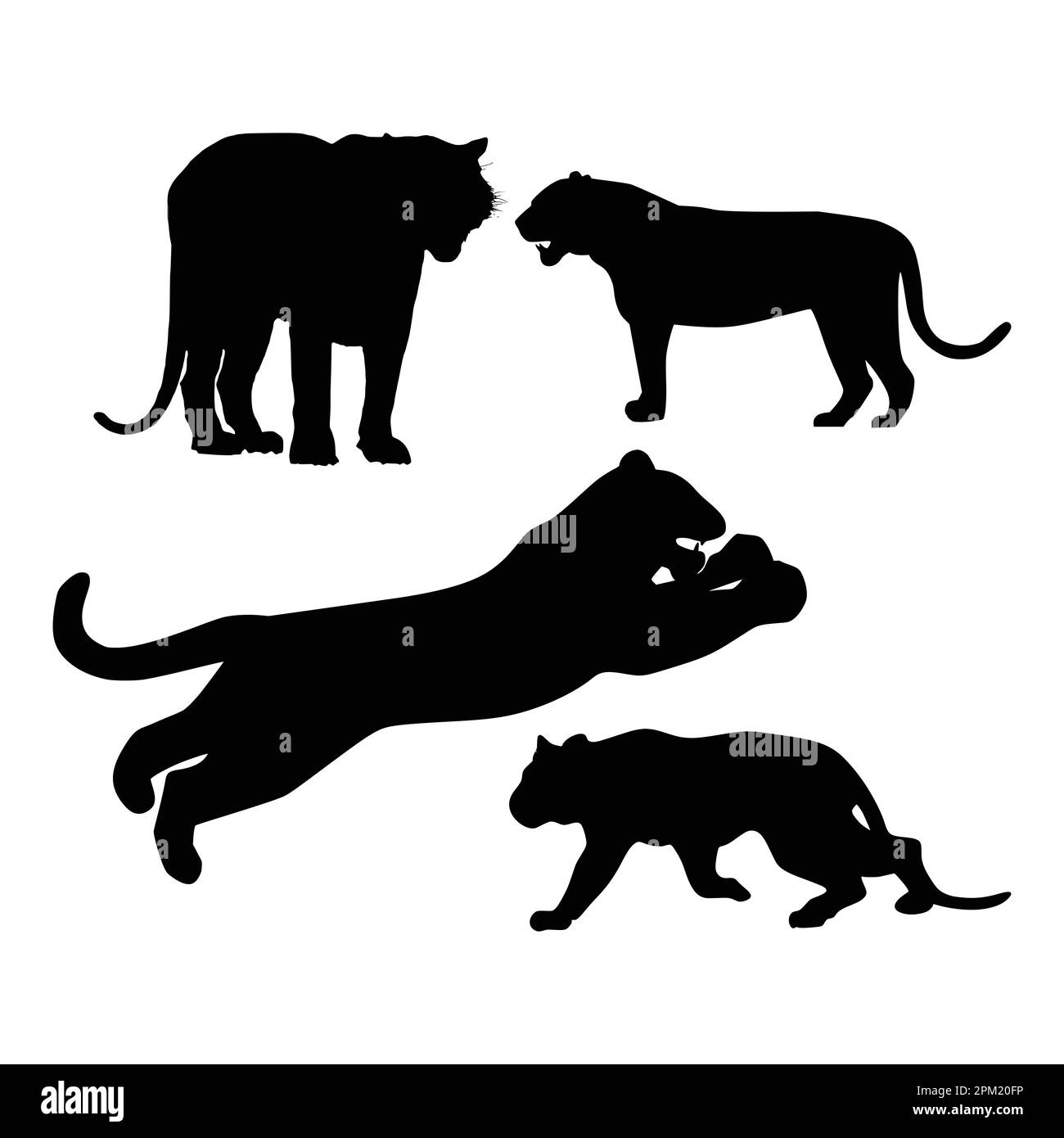Une image en noir et blanc de trois silhouettes noires d'une panthère et d'un tigre. Illustration de Vecteur