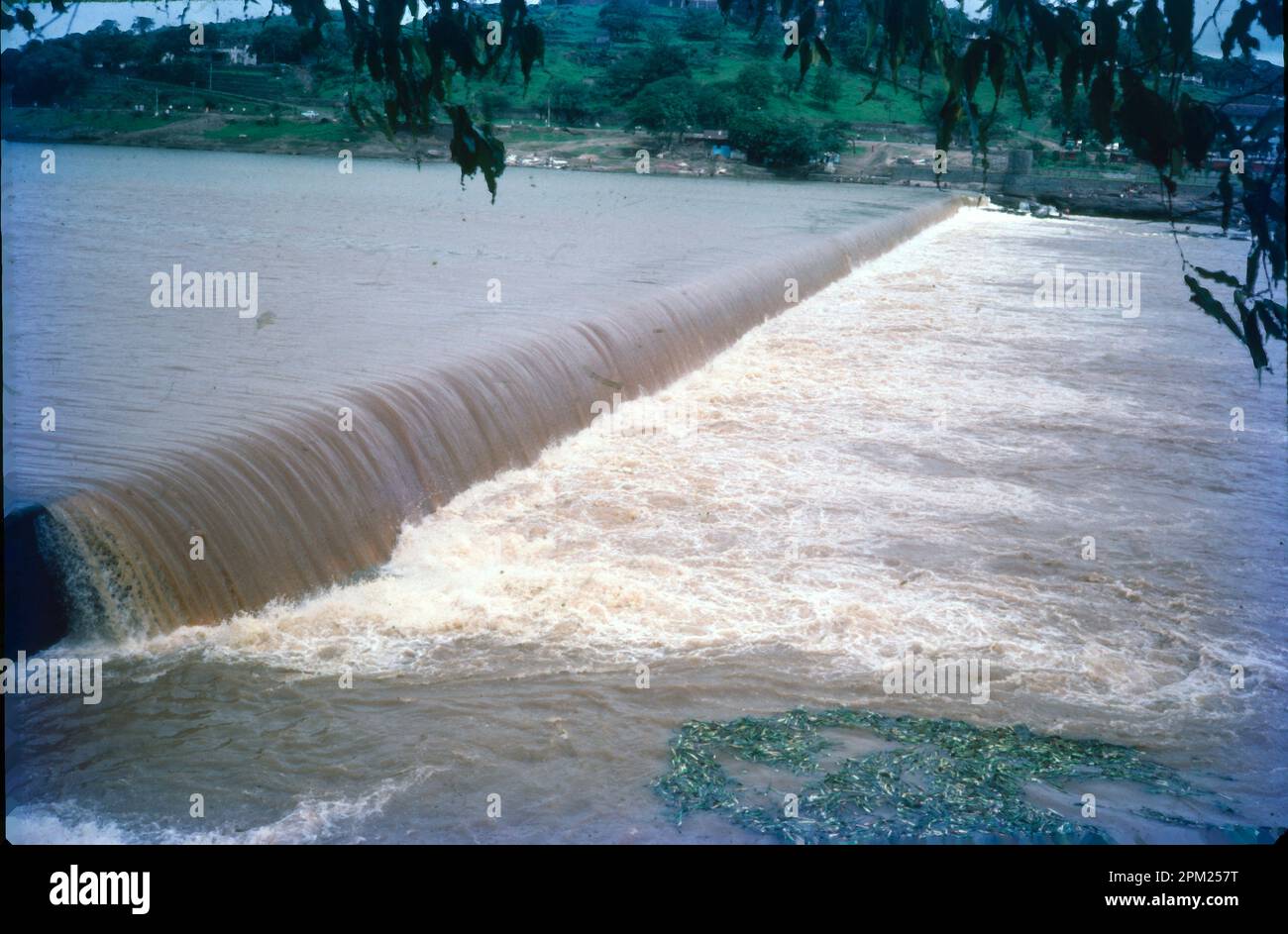 La rivière Mutha est une rivière dans l'ouest du Maharashtra, en Inde. Elle se pose dans les Ghats occidentaux et s'écoule vers l'est jusqu'à ce qu'elle fusionne avec la rivière Mula dans la ville de Pune. Il a été amorti deux fois, d'abord au barrage Panshet, utilisé comme source d'eau potable pour la ville de Pune et l'irrigation. Banque D'Images