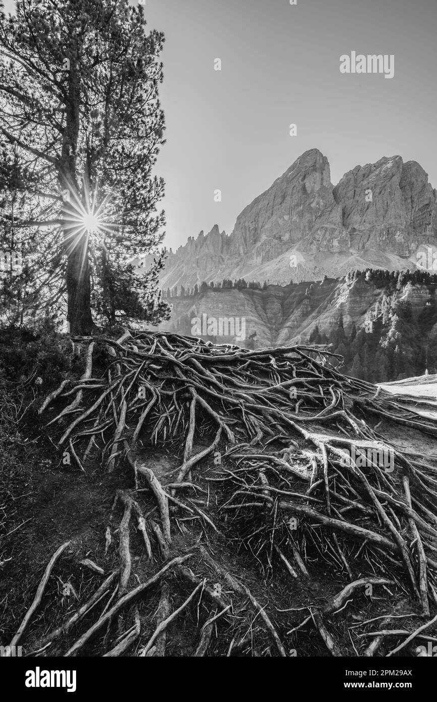 Peitlerkofel, Dolomiti près de San Martin de Tor, Tyrol du Sud, Italie Banque D'Images
