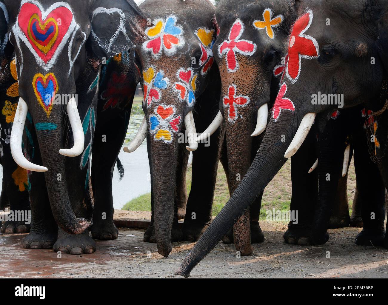 Ayutthaya, Thaïlande. 11th avril 2023. Des éléphants peints vus en célébration du festival de l'eau Songkran dans la province d'Ayutthaya, au nord de Bangkok. L'événement a été organisé pour promouvoir le tourisme en Thaïlande. Crédit : SOPA Images Limited/Alamy Live News Banque D'Images