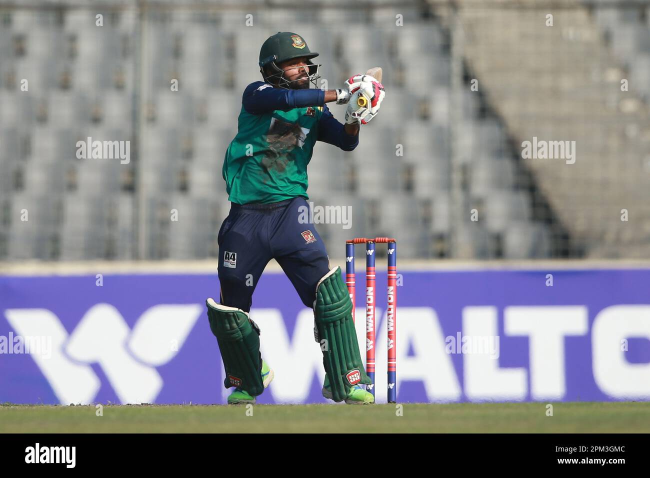 Chauve souris de cricket posant demi longueur Banque de photographies