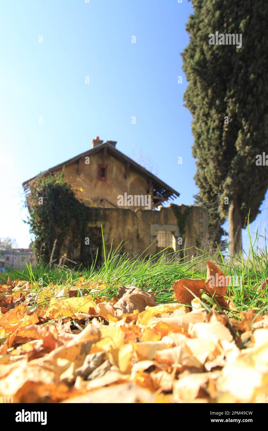 abandonné, automne, voyage, train, architecture, Arbre, vieux, ciel, Sawfar, bâtiment, maison, extérieur, nature, vert, vintage, pays, bleu, rural, persp Banque D'Images