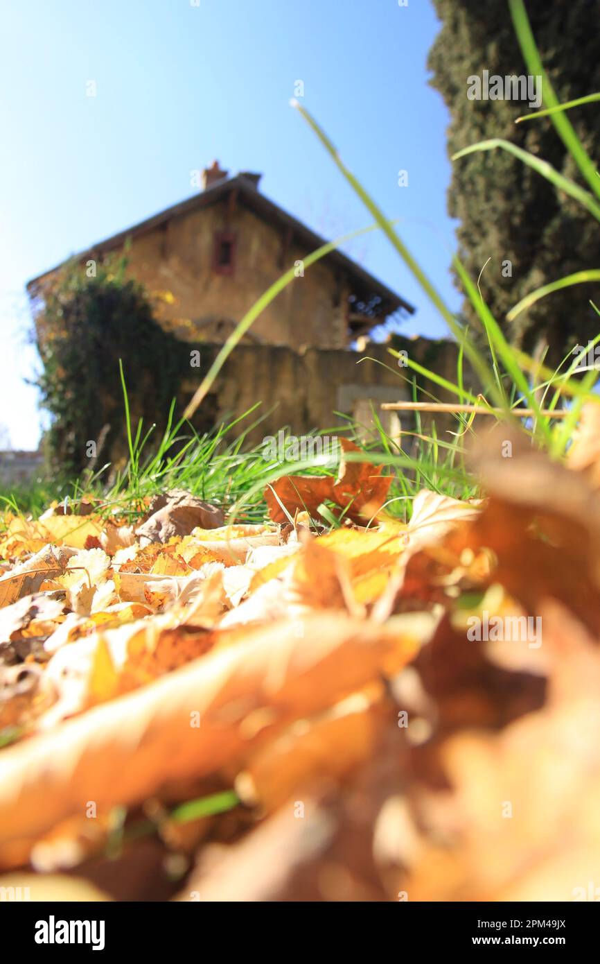 Une vue d'automne d'une gare abandonnée au Liban. Banque D'Images Une vue d'automne d'une gare abandonnée au Liban. Banque D'Images