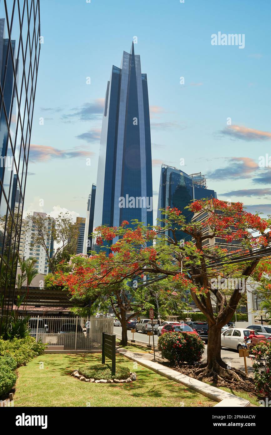 11-05-2016, Soho Mall Tower et El Tornillo Building, Panama City, République de Panama, Amérique centrale. Banque D'Images