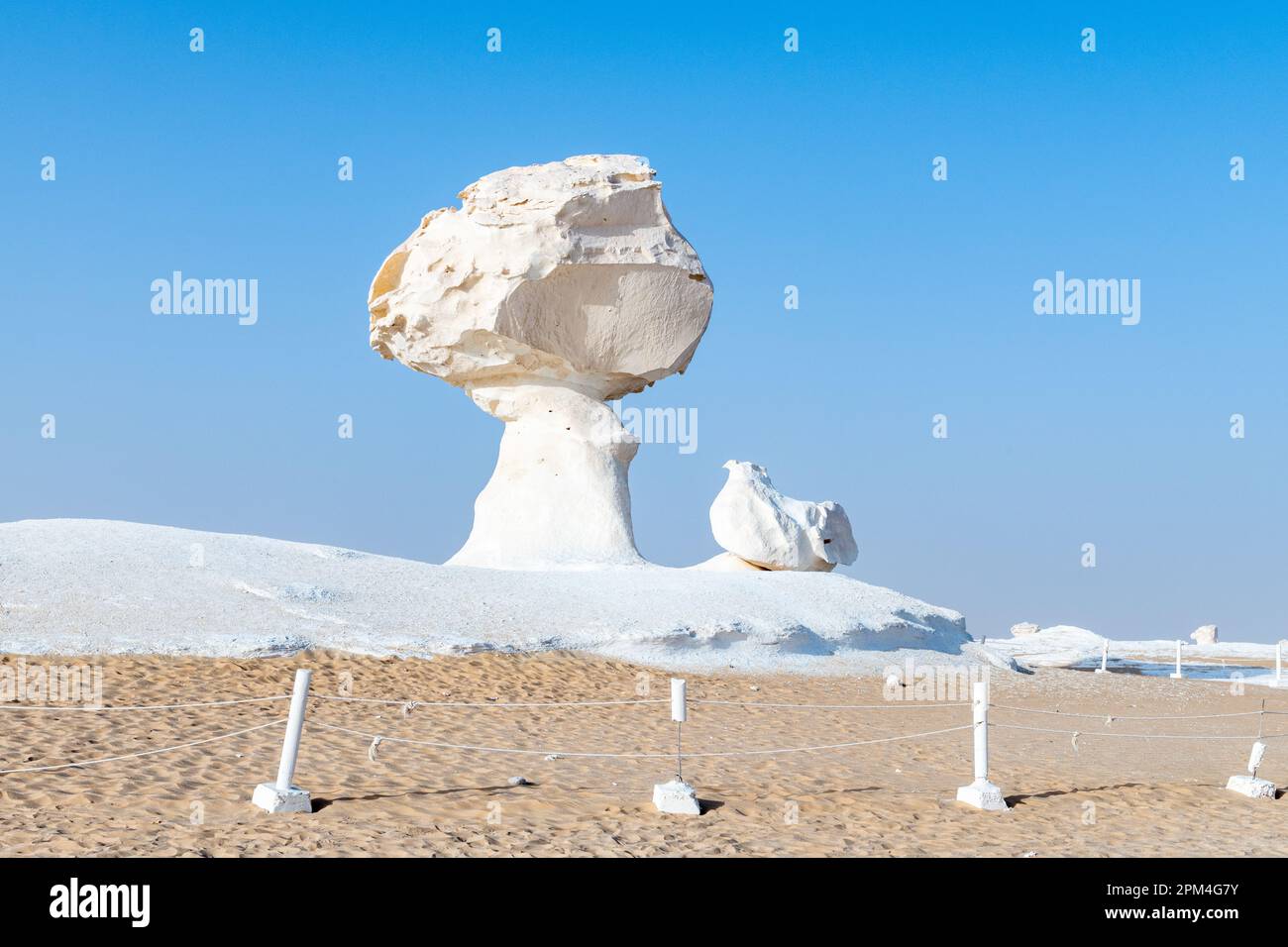 Les affleurements rocheux de craie de champignons et d'oiseaux dans le désert blanc de Bahariya en Égypte Banque D'Images